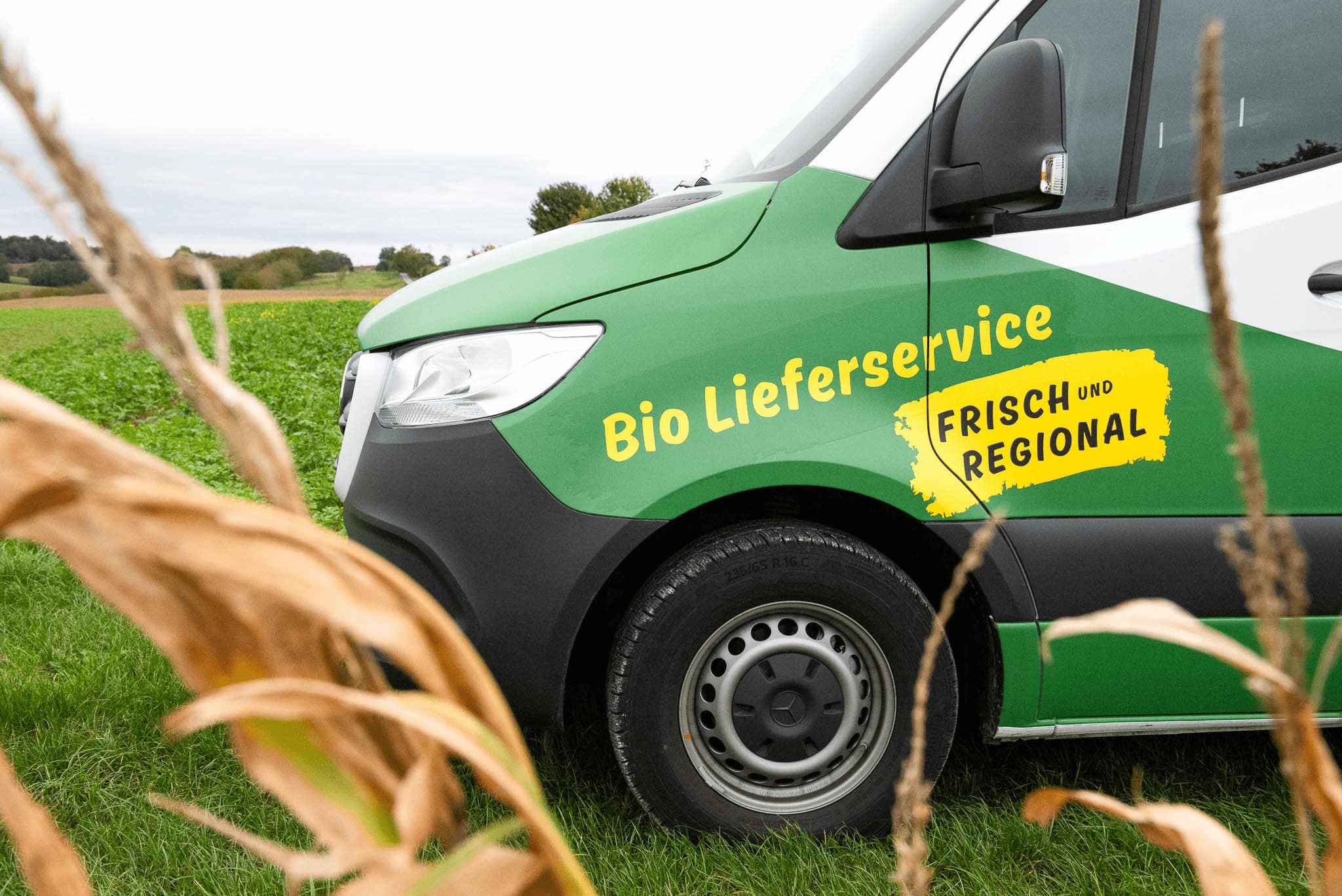 Detail des Dirks Biokiste Logos auf dem Lieferwagen – Zeichen für Nachhaltigkeit, Qualität und Regionalität